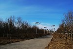 太阳能路灯