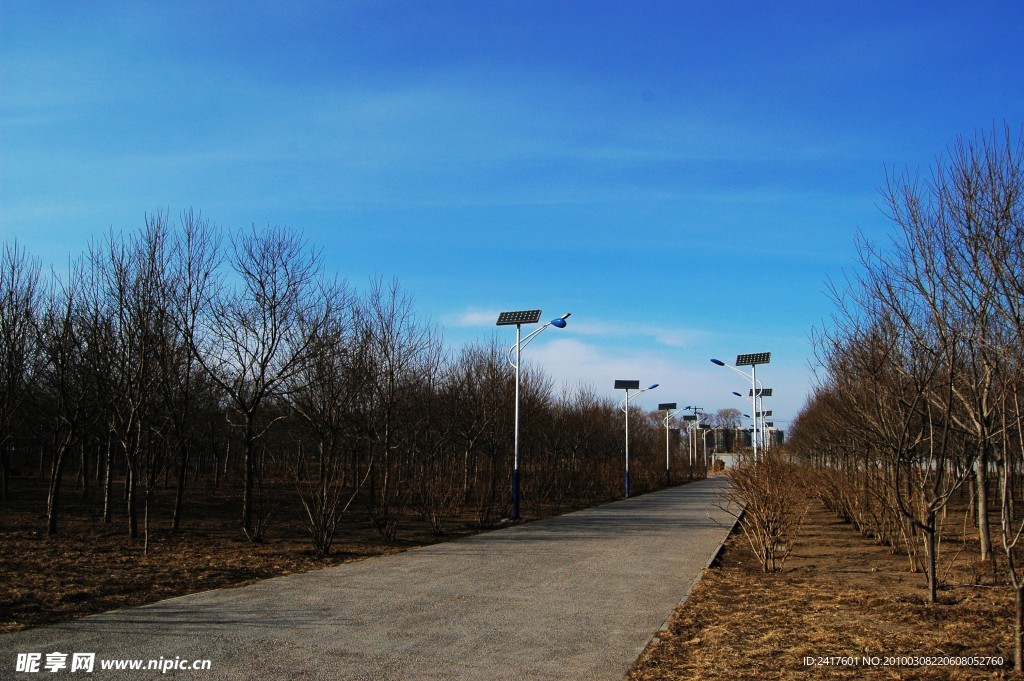 太阳能路灯