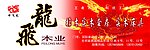 飞龙