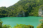 谷中海