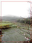 雨后江南
