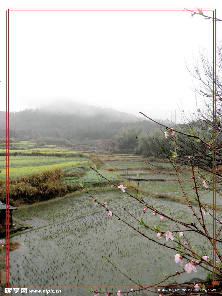 雨后江南