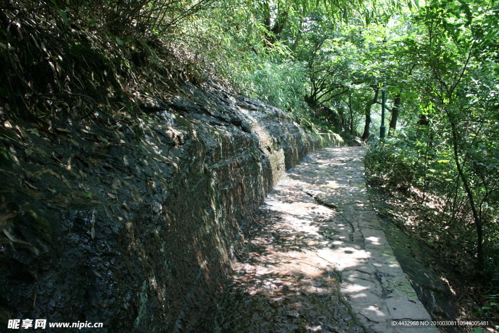 山中小路