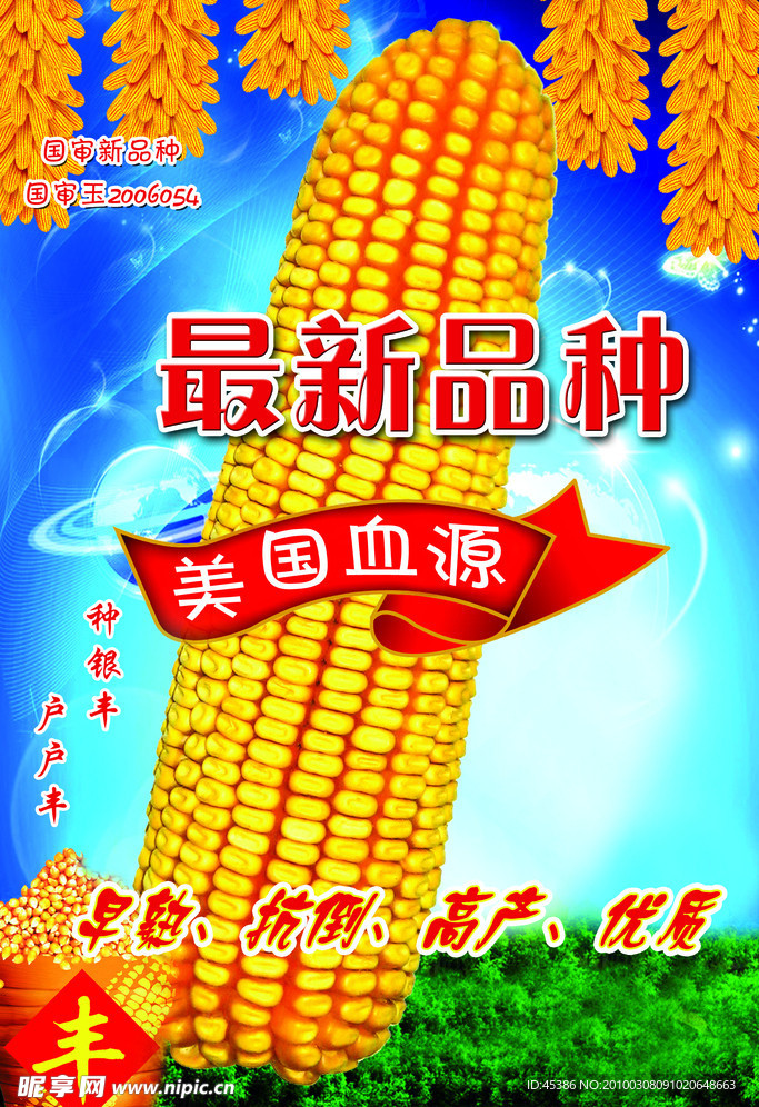 玉米画