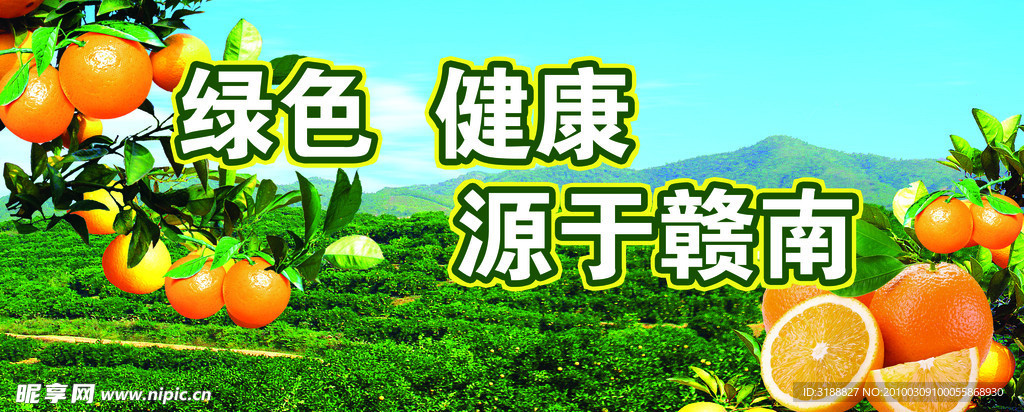 脐橙