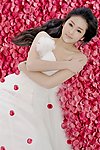 花瓣美女刘颖