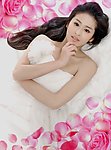 花瓣美女刘颖