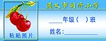 胸牌