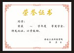 荣誉证书 （文件在页面2）
