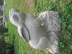 兔子