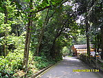 罗浮山风景