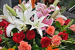 花 玫瑰花 菊花 百合花