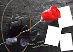 时尚 婚纱 素材