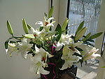 百合花