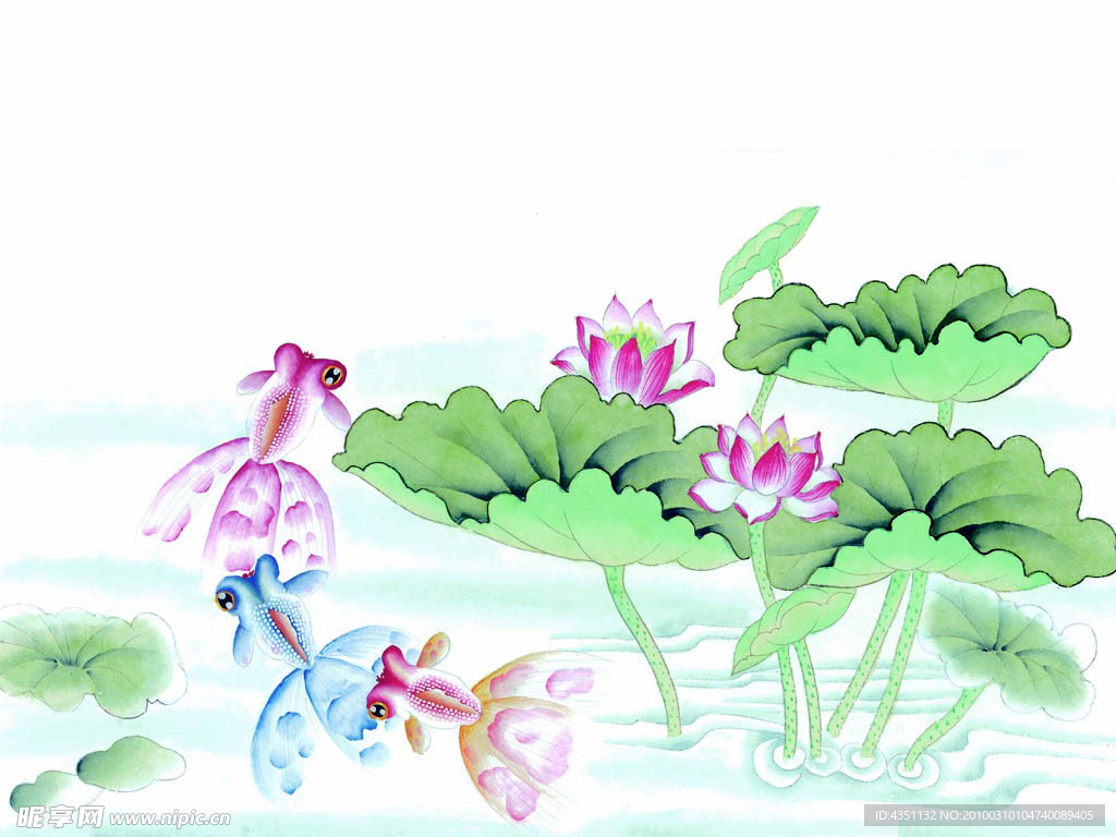 荷花金鱼插图