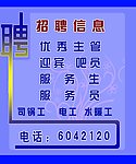 招聘广告