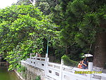 罗浮山风景