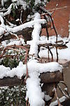 冬雪