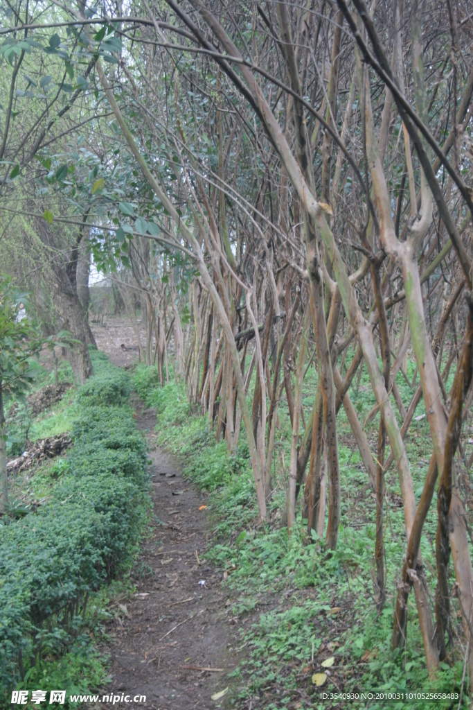 小路