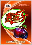 嘉应子