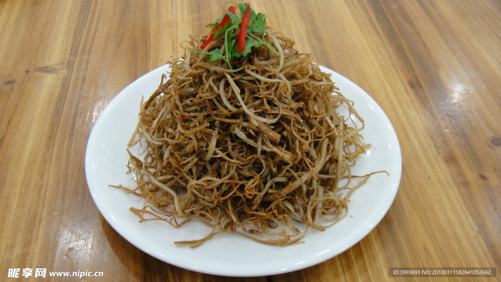 茶树菇