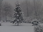 冬雪