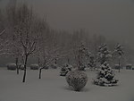 冬雪