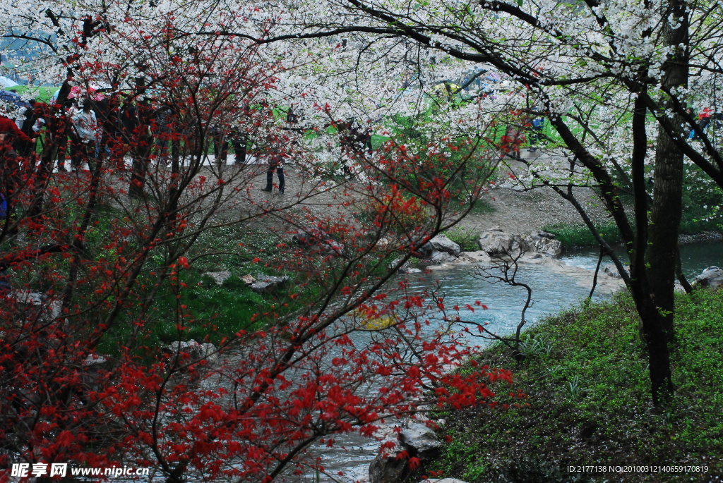 公园美景