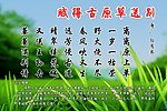 广告设计