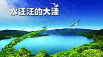 水汪汪的大洼
