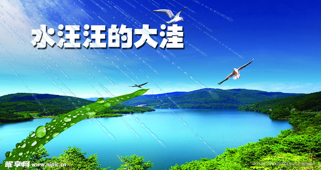水汪汪的大洼