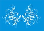 30 白色透明花纹