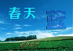春天