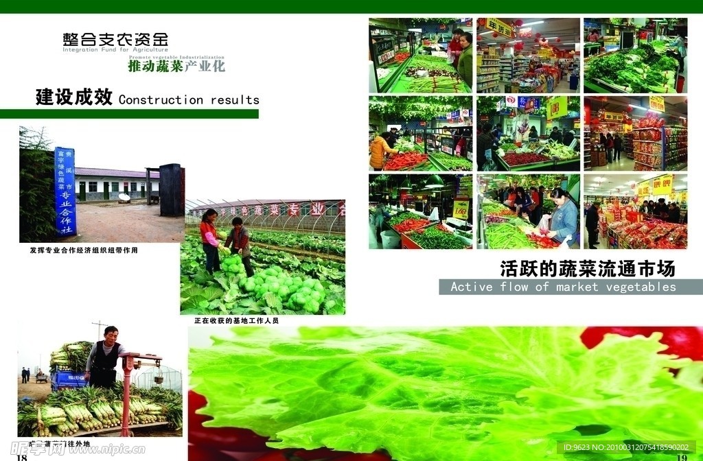 建设成效显著