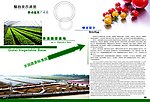 贵溪蔬菜基地