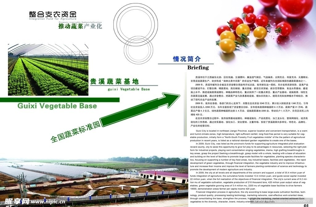贵溪蔬菜基地
