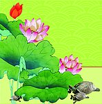 荷花