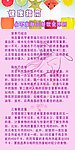 健康指南