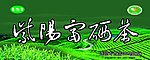 紫阳富硒茶