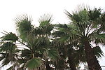 厦门风光