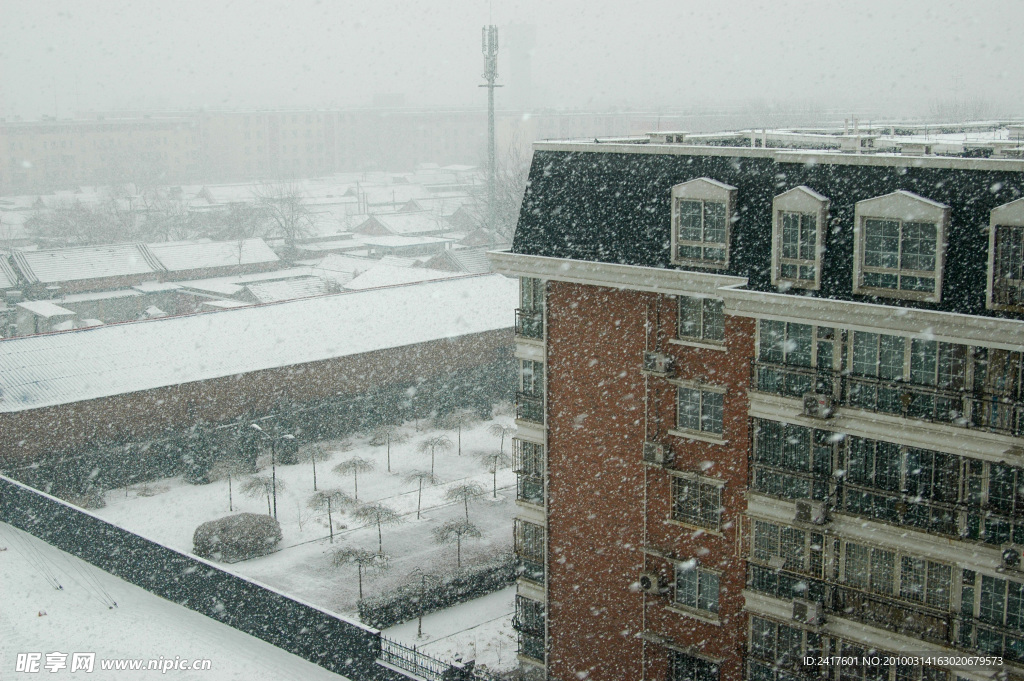 春天下大雪 北京的大雪