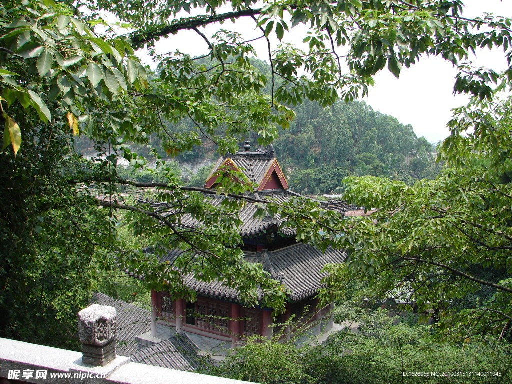 绿树古建筑