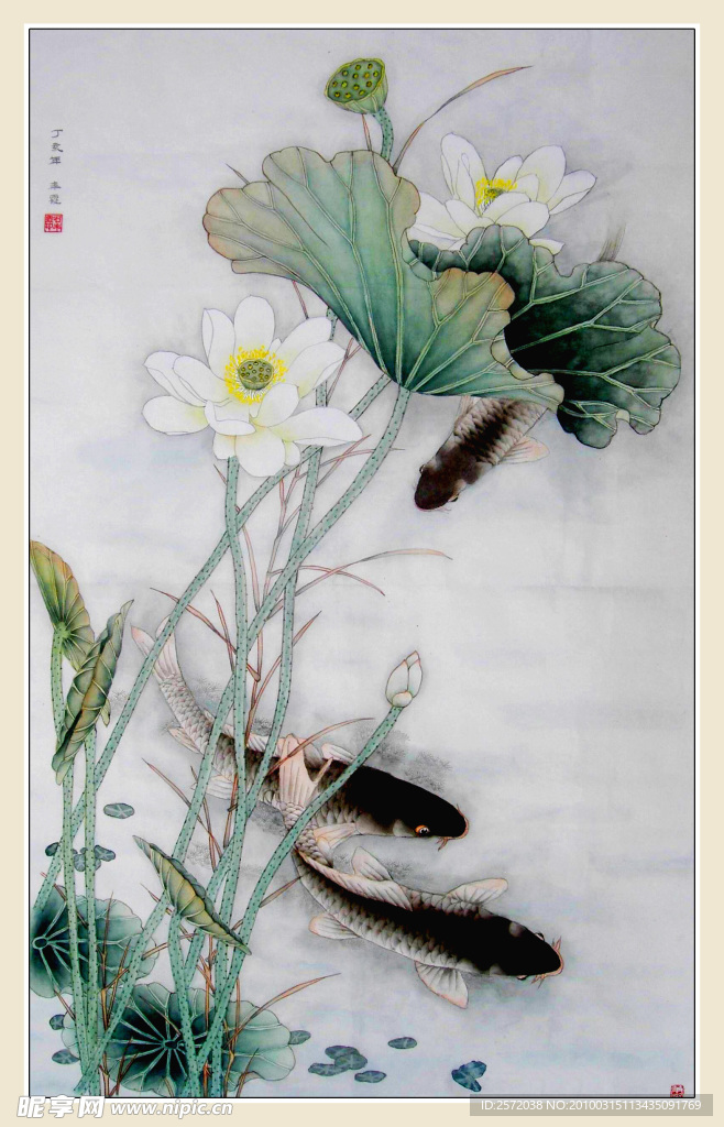 荷花和鱼