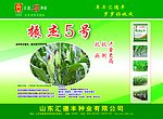汇德丰种业
