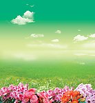 多种鲜花 草地蓝天 海报底图