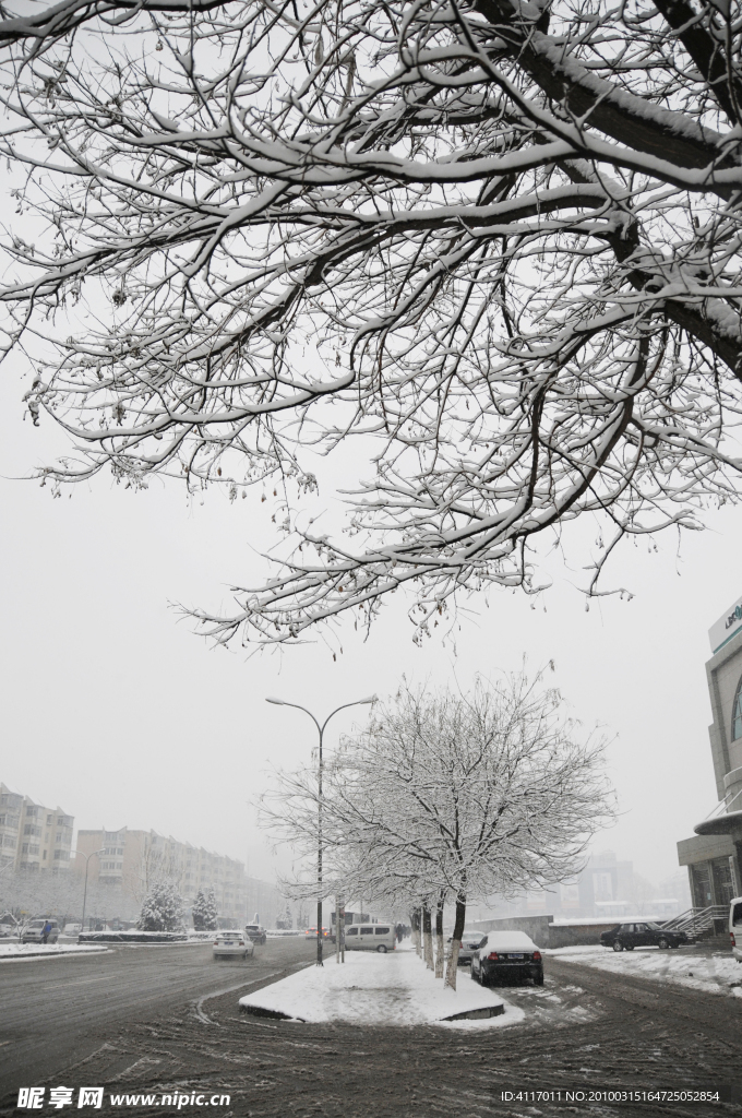 雪景