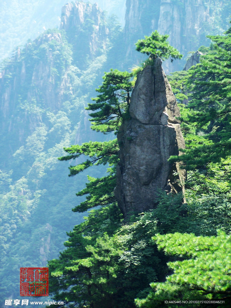 林山