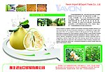 水果