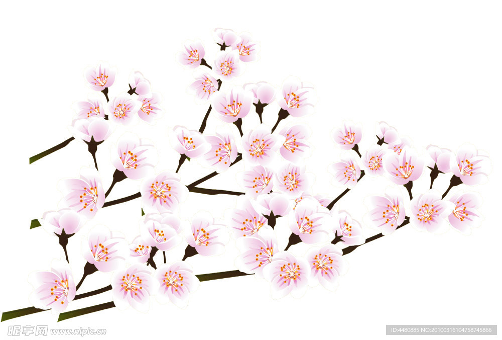 梅花抠图
