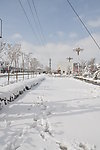 雪路漫漫